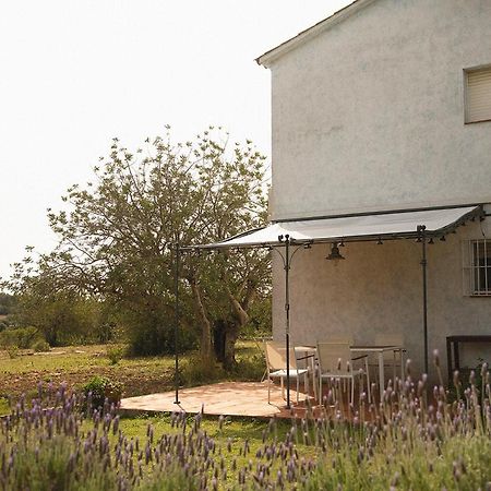 Masia Bartomeu Rural House Between Vineyards 2Km From The Beach Вендрель Экстерьер фото